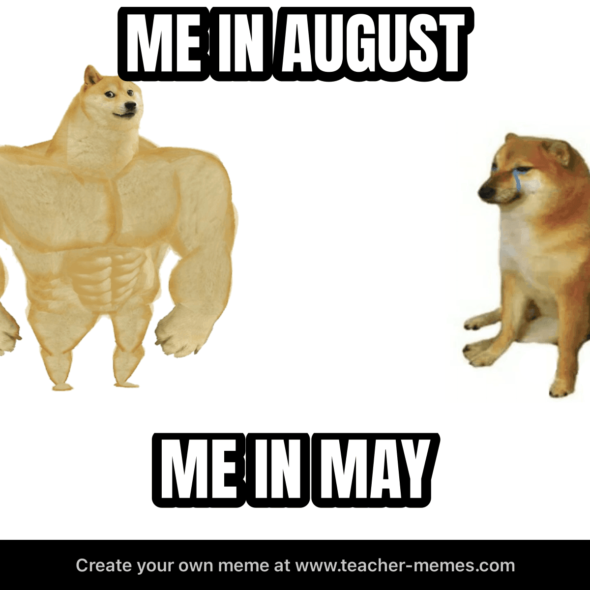 ME IN AUGUST / ME IN MAY