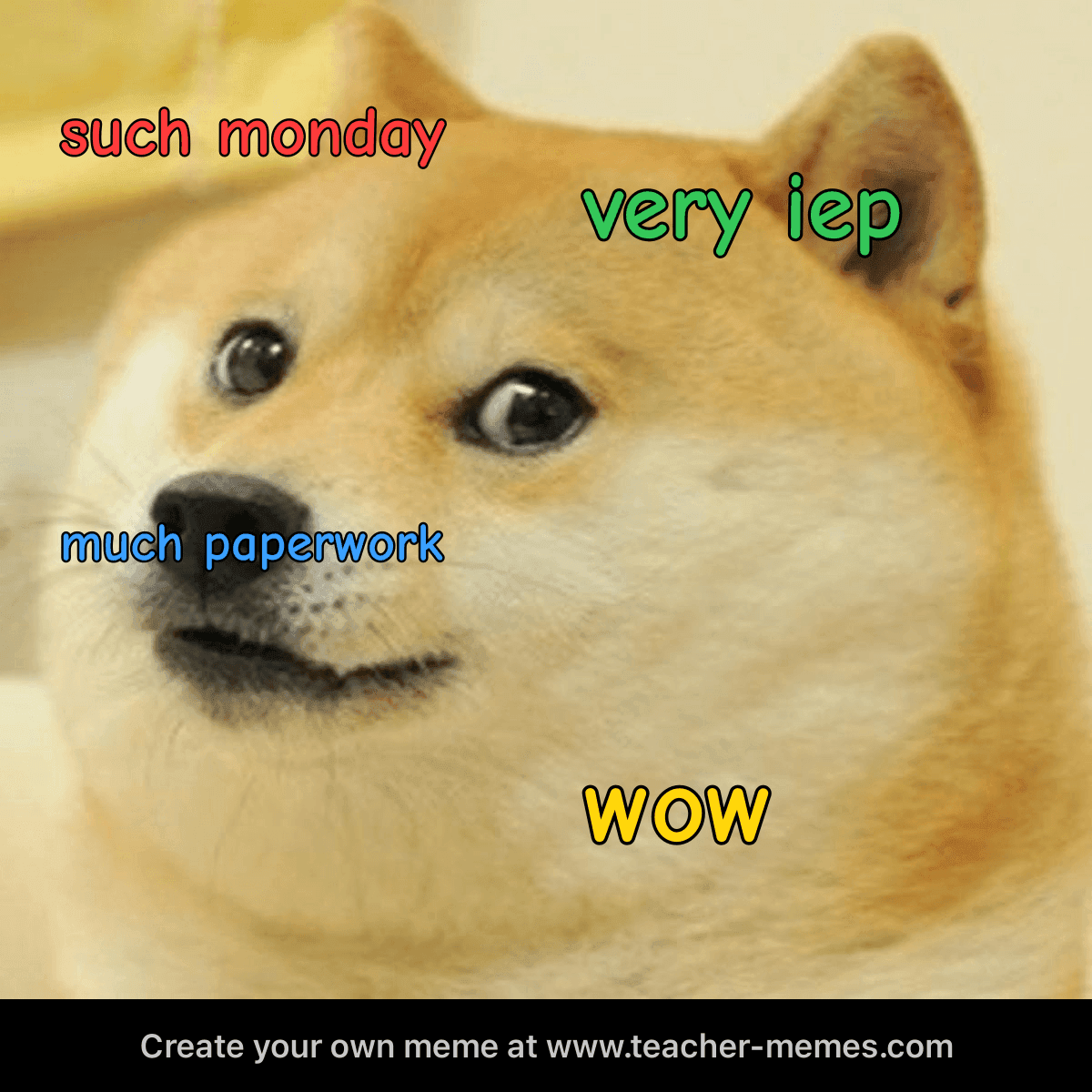 SUCH MONDAY / VERY IEP / MUCH PAPERWORK / WOW
