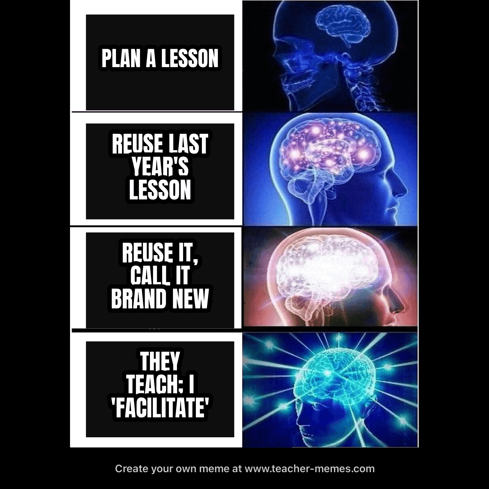 PLAN A LESSON / REUSE LAST YEAR / CALL IT BRAND NEW / THEY TEACH, I 'FACILITATE'