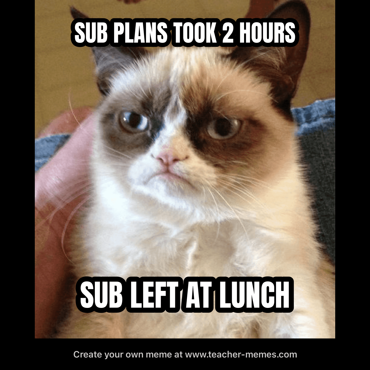 SUB PLANS TOOK 2 HOURS / SUB LEFT AT LUNCH