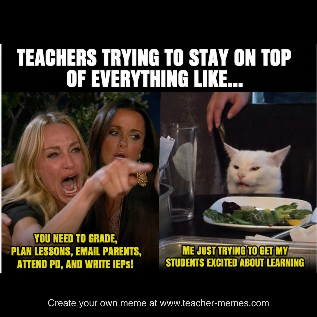 TEACHERS TRYING TO STAY ON TOP OF EVERYTHING / GRADE, PLAN, EMAIL, PD, IEPs / STUDENTS EXCITED ABOUT LEARNING
